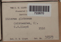 Diderma globosum image